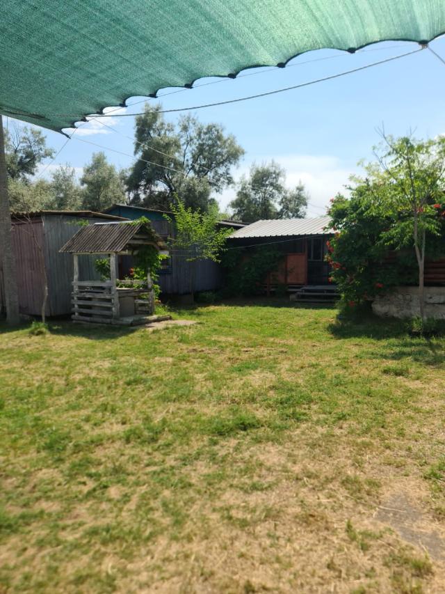 https://photo.capital.com.ua/foto_n/n5515138507.jpg