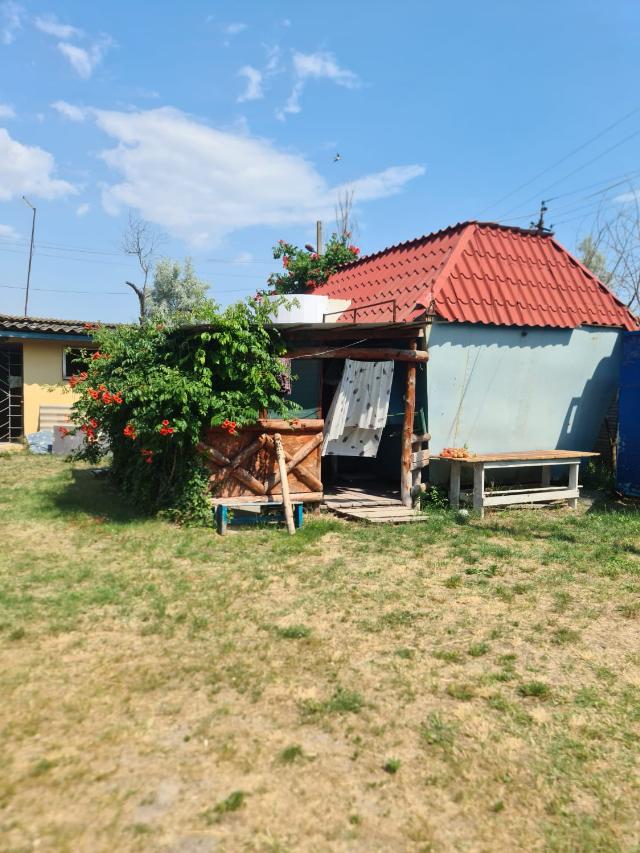 https://photo.capital.com.ua/foto_n/n5515138510.jpg